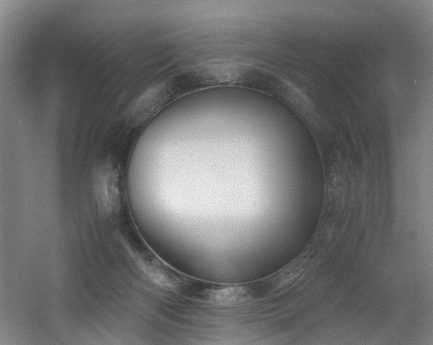 X0000060770122200511101224