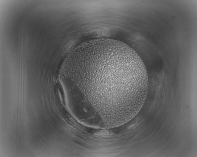 X0000060770123200511101224