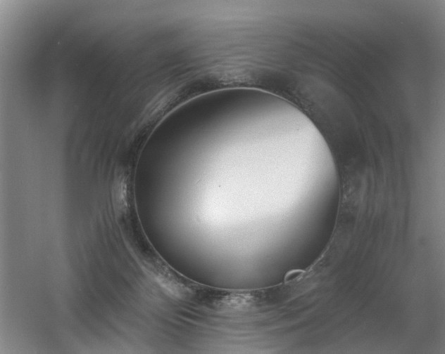 X0000060770124200511101224