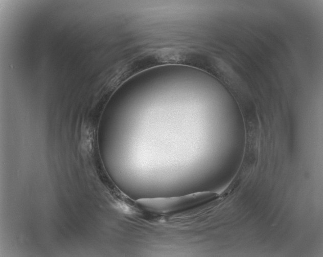 X0000060770125200511101224