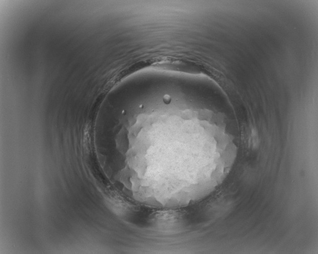 X0000060770127200511101224