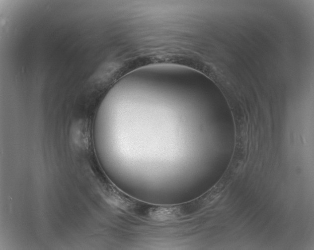 X0000060770129200511101224