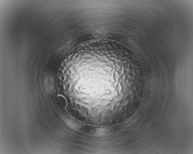 X0000060770130200511101224