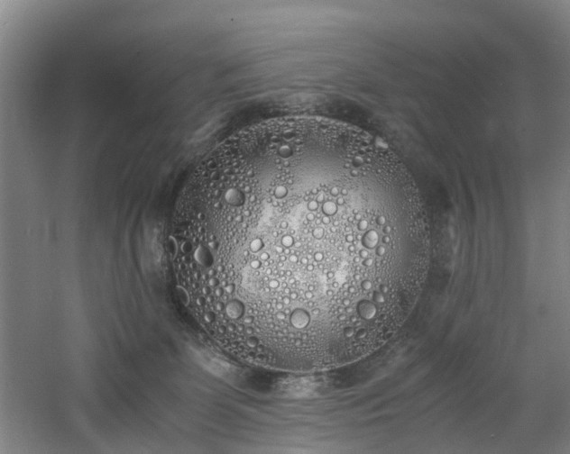 X0000060770131200511101224