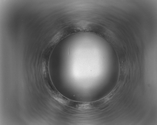 X0000060770132200511101224