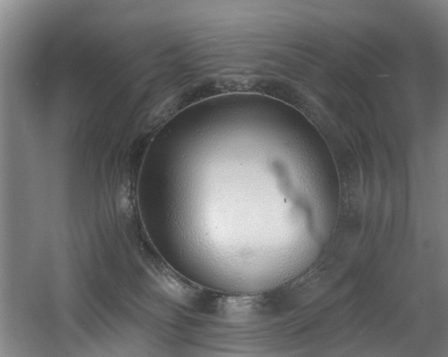 X0000060770134200511101224