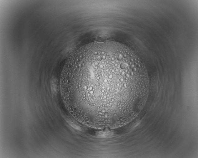 X0000060770135200511101224