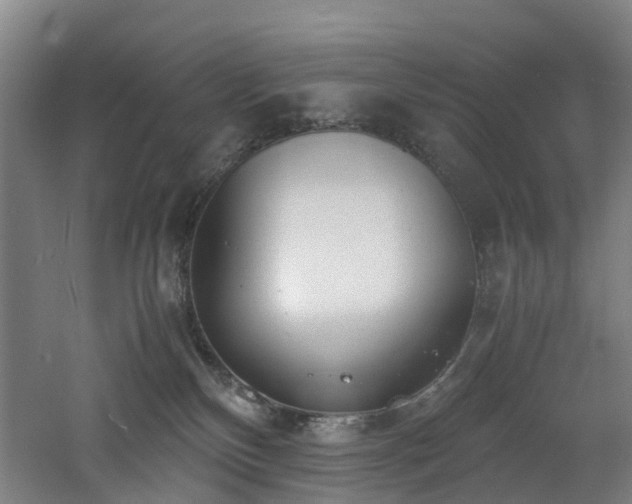 X0000060770136200511101224