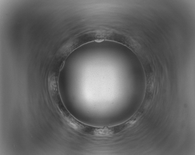 X0000060770137200511101224