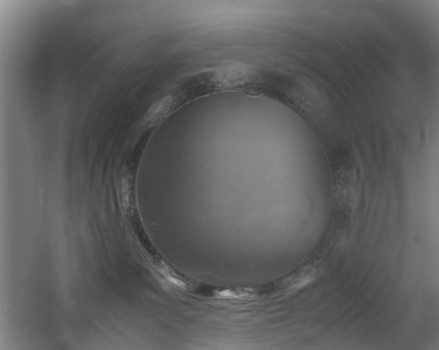 X0000060770139200511101224