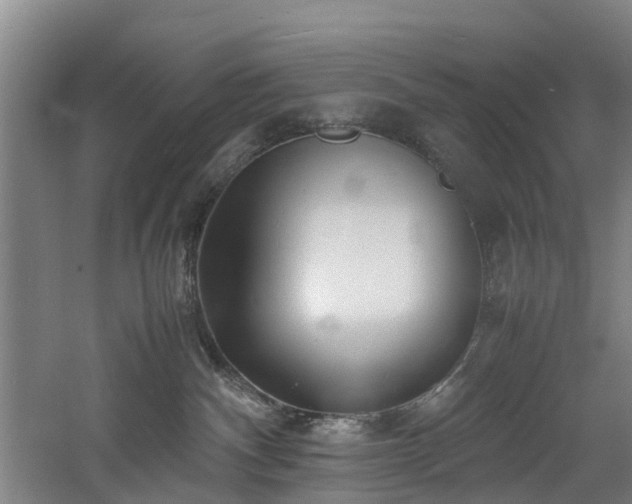 X0000060770140200511101224