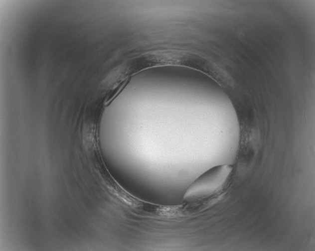 X0000060770141200511101224