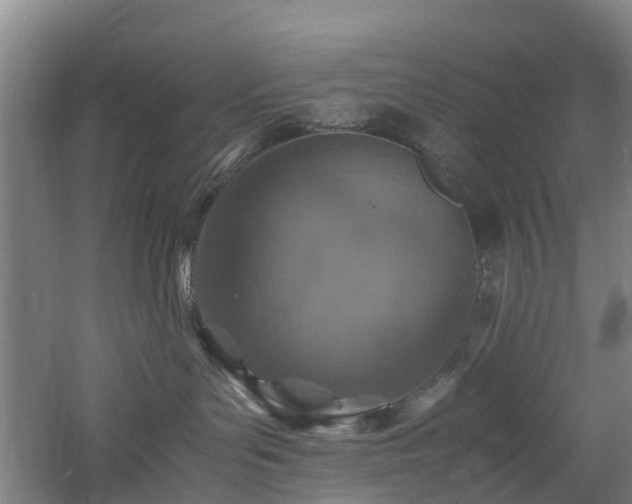 X0000060770143200511101224