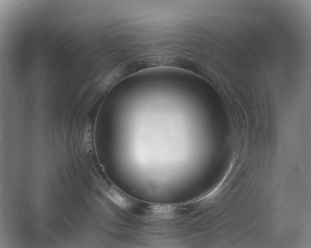 X0000060770144200511101224