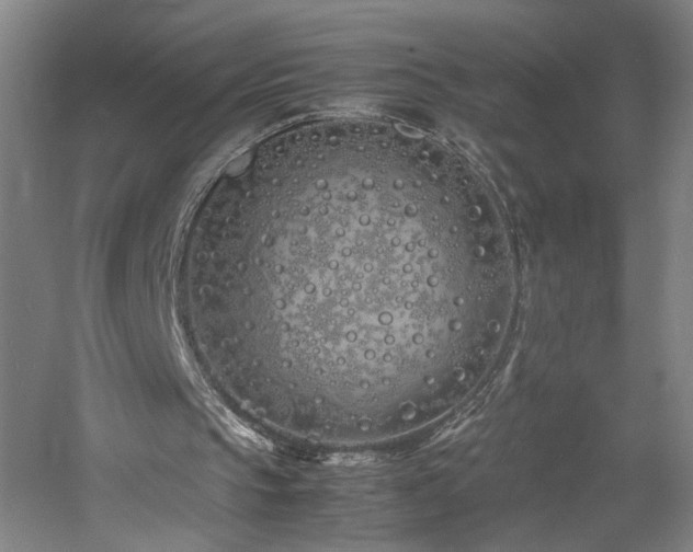 X0000060770145200511101223