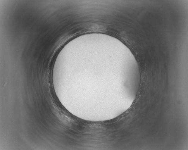 X0000060770146200511101223