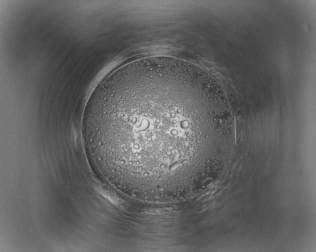 X0000060770147200511101223