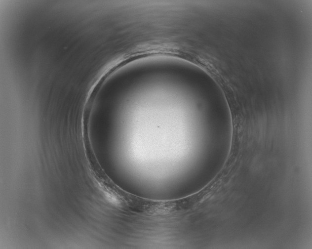 X0000060770148200511101223