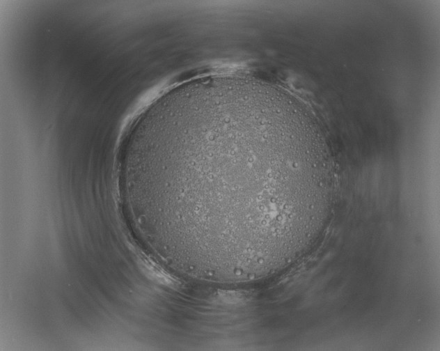 X0000060770149200511101223