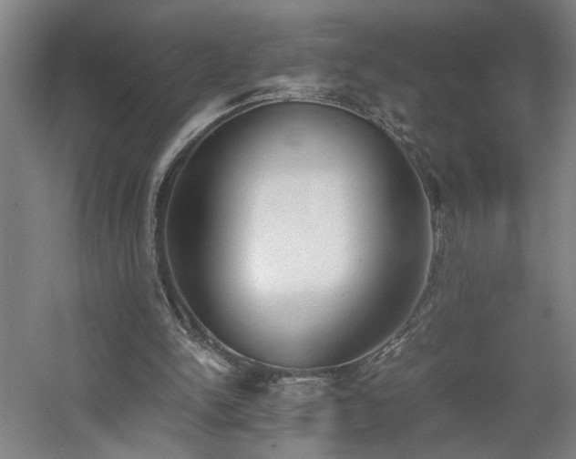 X0000060770150200511101223