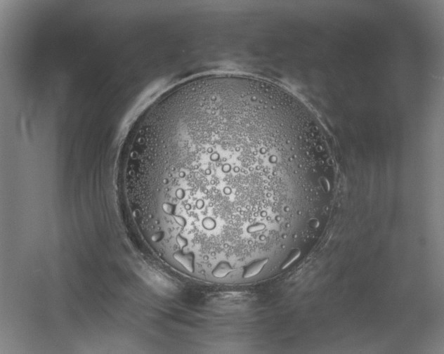 X0000060770151200511101223