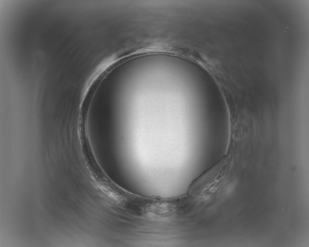 X0000060770152200511101223