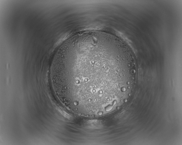 X0000060770153200511101223