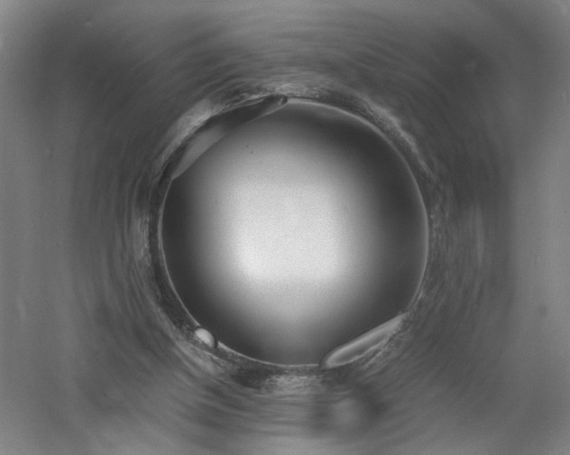 X0000060770154200511101223