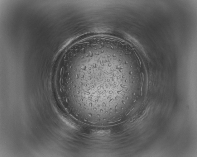 X0000060770155200511101223