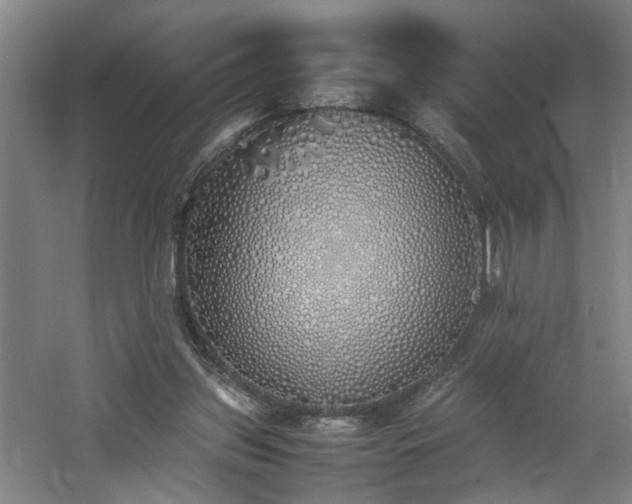 X0000060770157200511101223