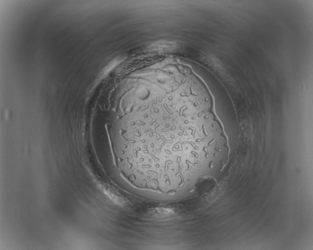 X0000060770159200511101223