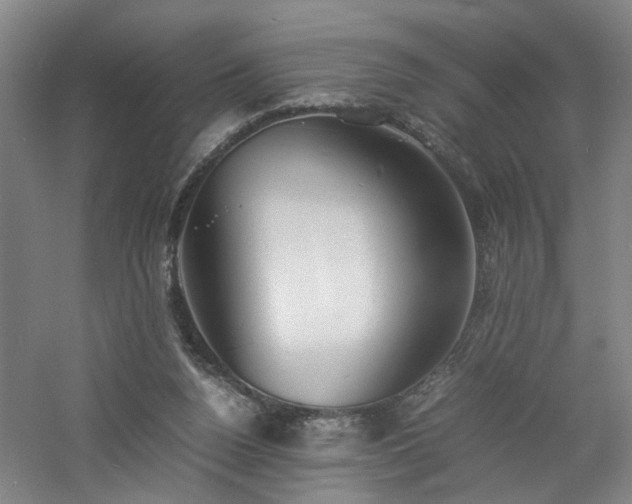 X0000060770160200511101223