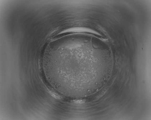 X0000060770161200511101223