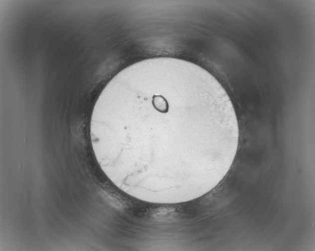 X0000060770162200511101223