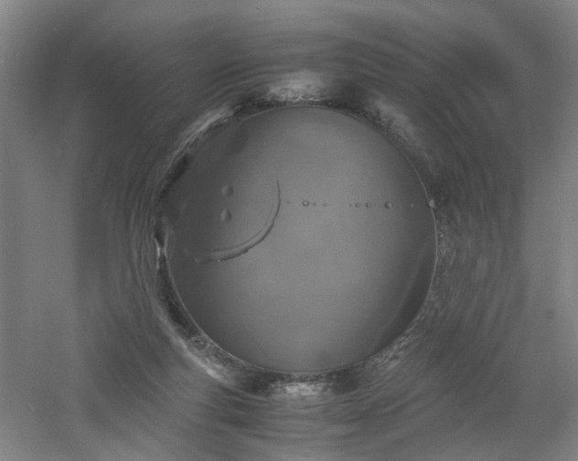 X0000060770163200511101223