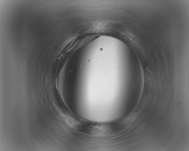 X0000060770164200511101223