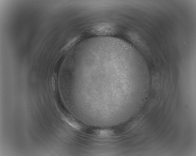 X0000060770165200511101223