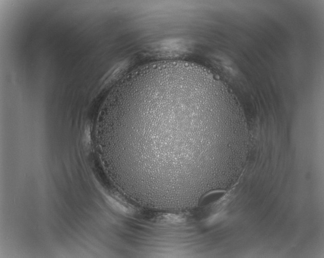 X0000060770166200511101223