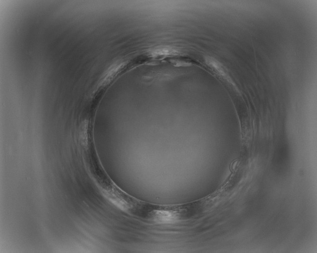 X0000060770167200511101223