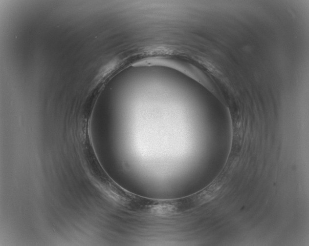 X0000060770168200511101223