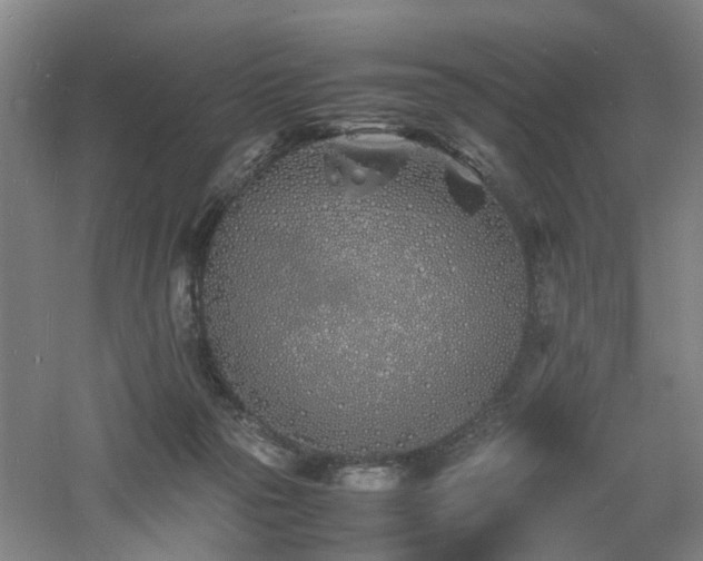 X0000060770169200511101223