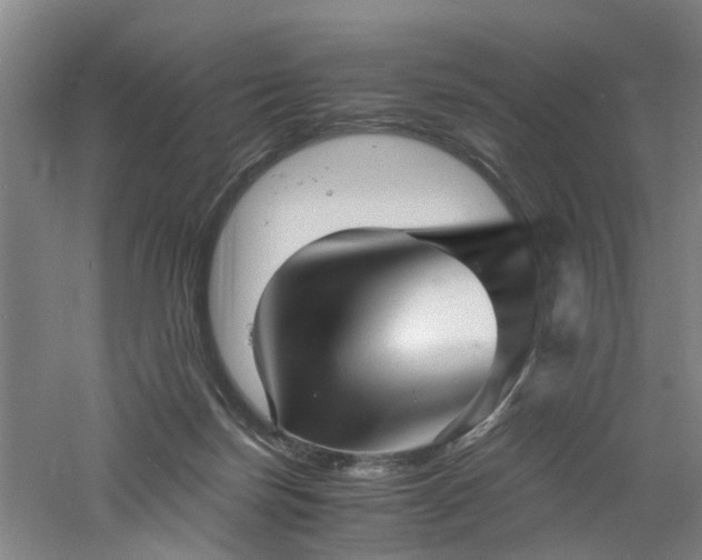 X0000060770171200511101223