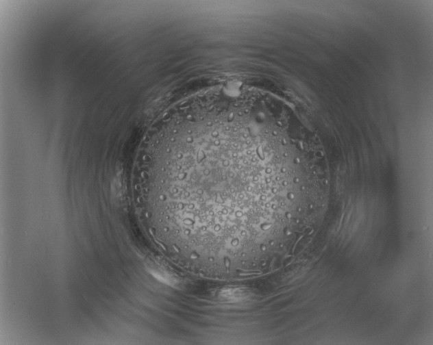 X0000060770173200511101223