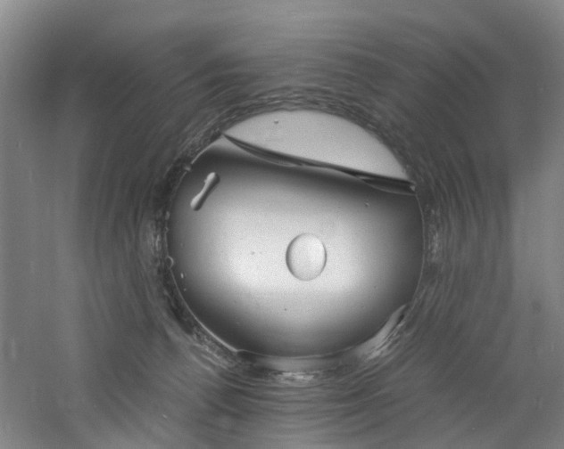 X0000060770176200511101223