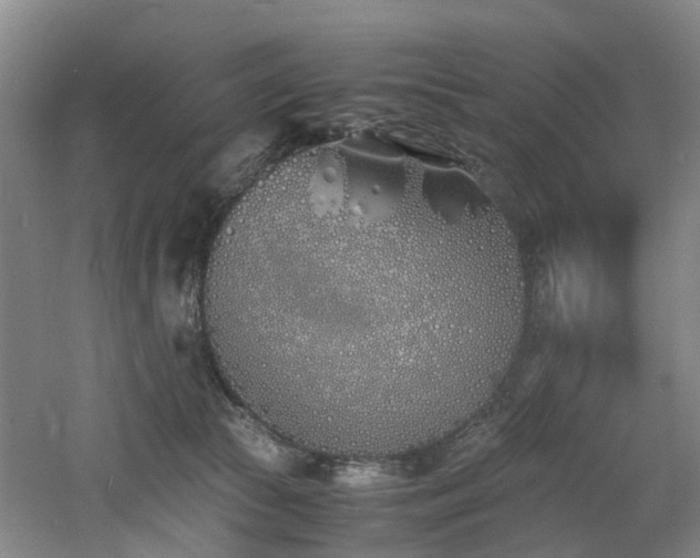 X0000060770177200511101223