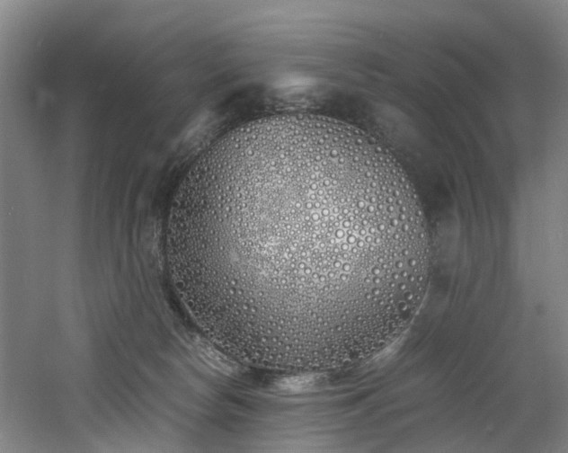 X0000060770178200511101223