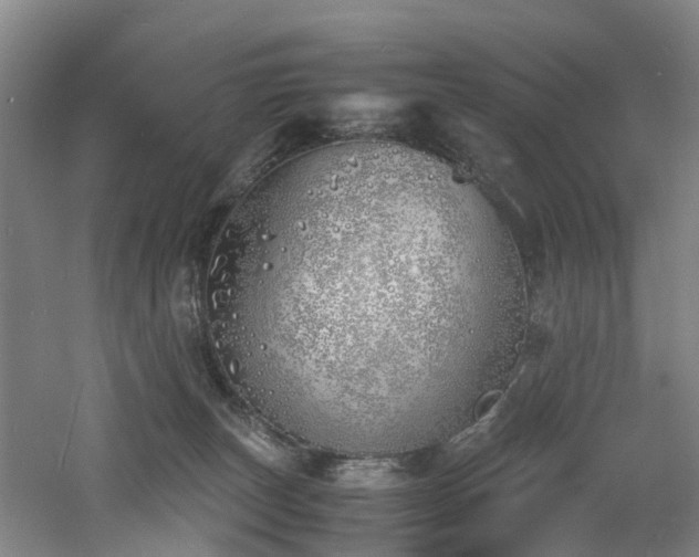 X0000060770179200511101223