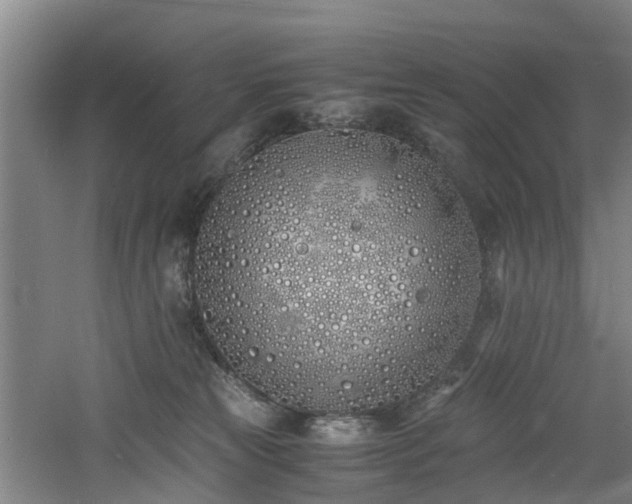 X0000060770181200511101223