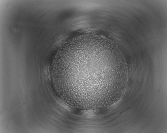 X0000060770182200511101223