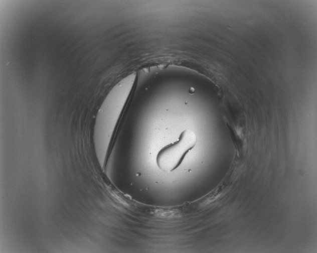 X0000060770185200511101224